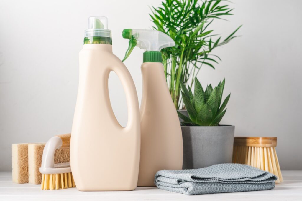 Eco-friendly bottled cleaning products. Reusable brushes and home green plants. Green life concept